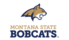 bobcats