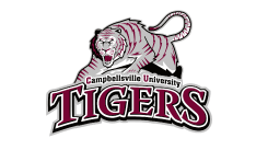 tigers (1)